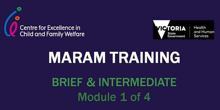MARAM Training Brief and Intermediate - ONLINE